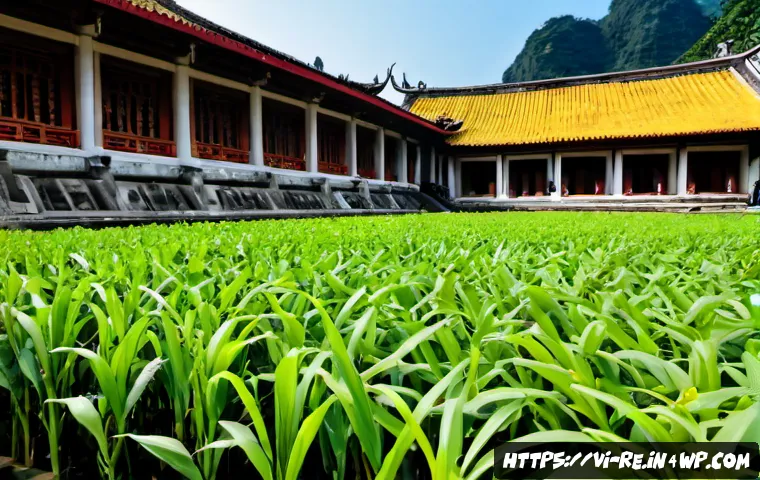 Bảo quản thực phẩm bằng cách giảm oxy: khi nào dùng máy hút chân không, gói hút oxy hay đóng gói chuyên dụng? 4 산소 제거와 식품 보존 관련 이미지 2
